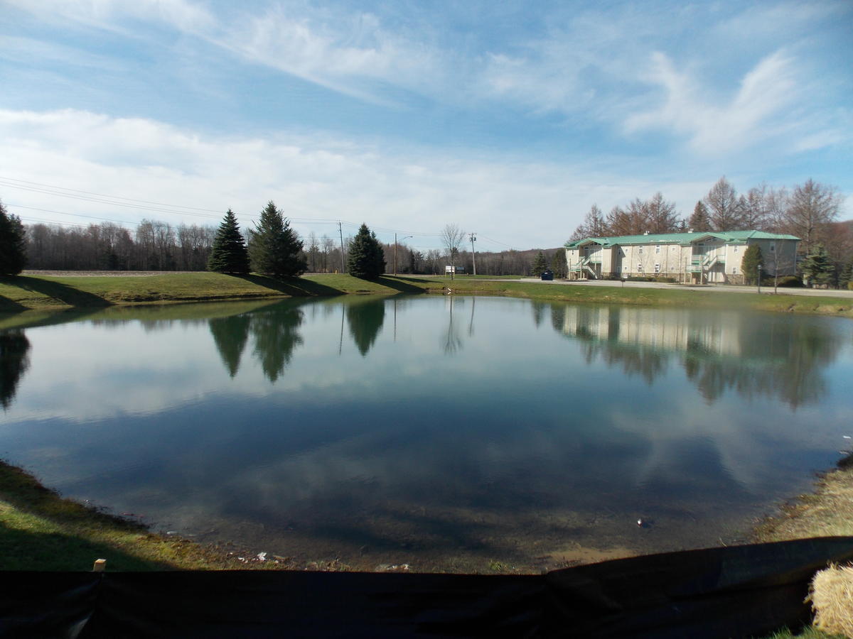 Fairway Suites At The Peak French Creek Exterior foto